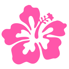The Pink Ladies Volunteer Corps