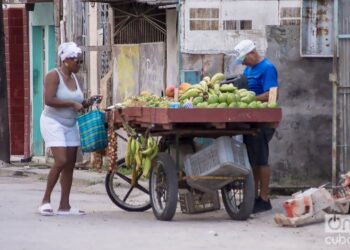 Cubans facing new dengue outbreak amid food shortage